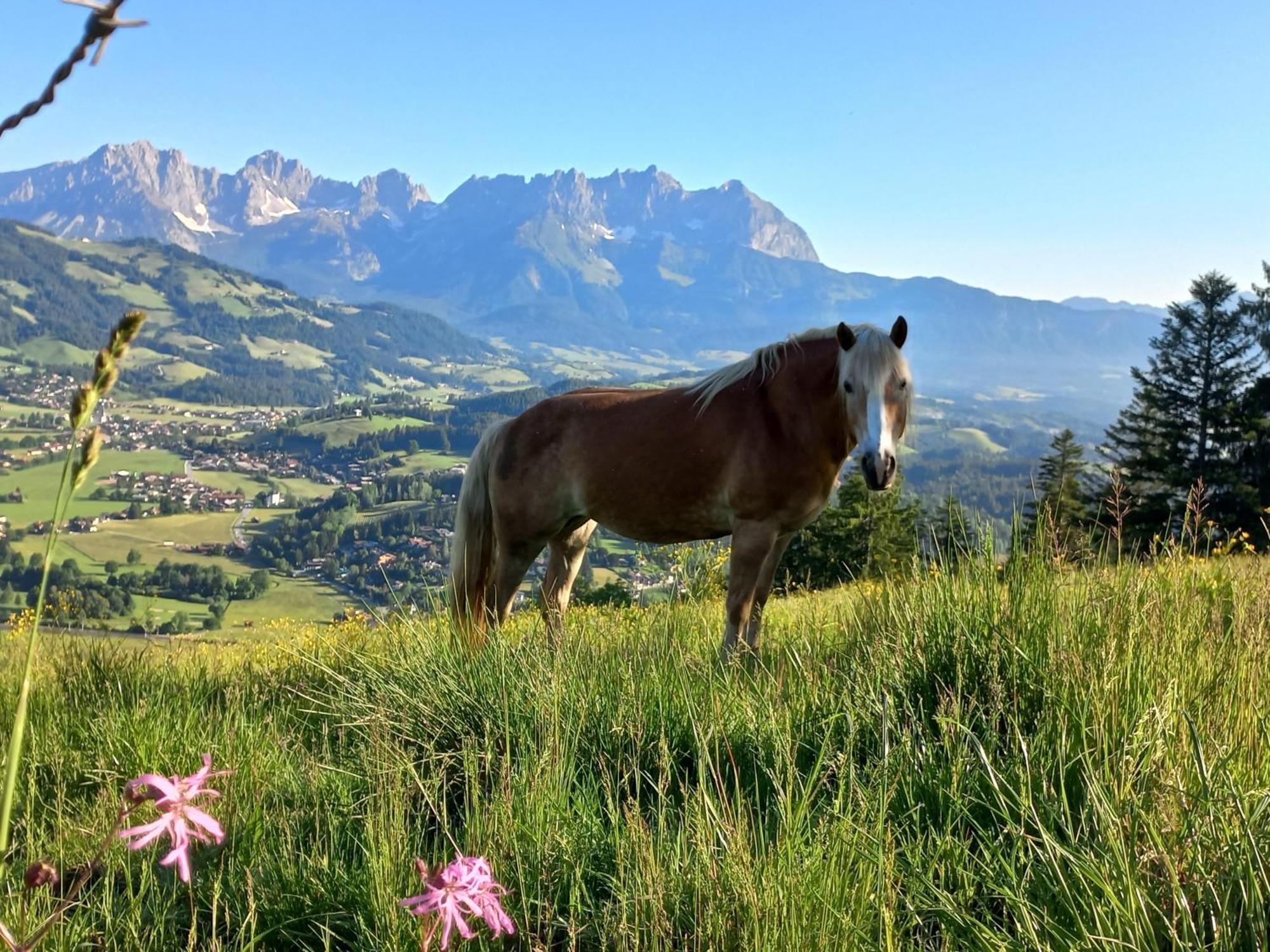 Villa Hahnenkammblick Kitzbühel Exterior foto