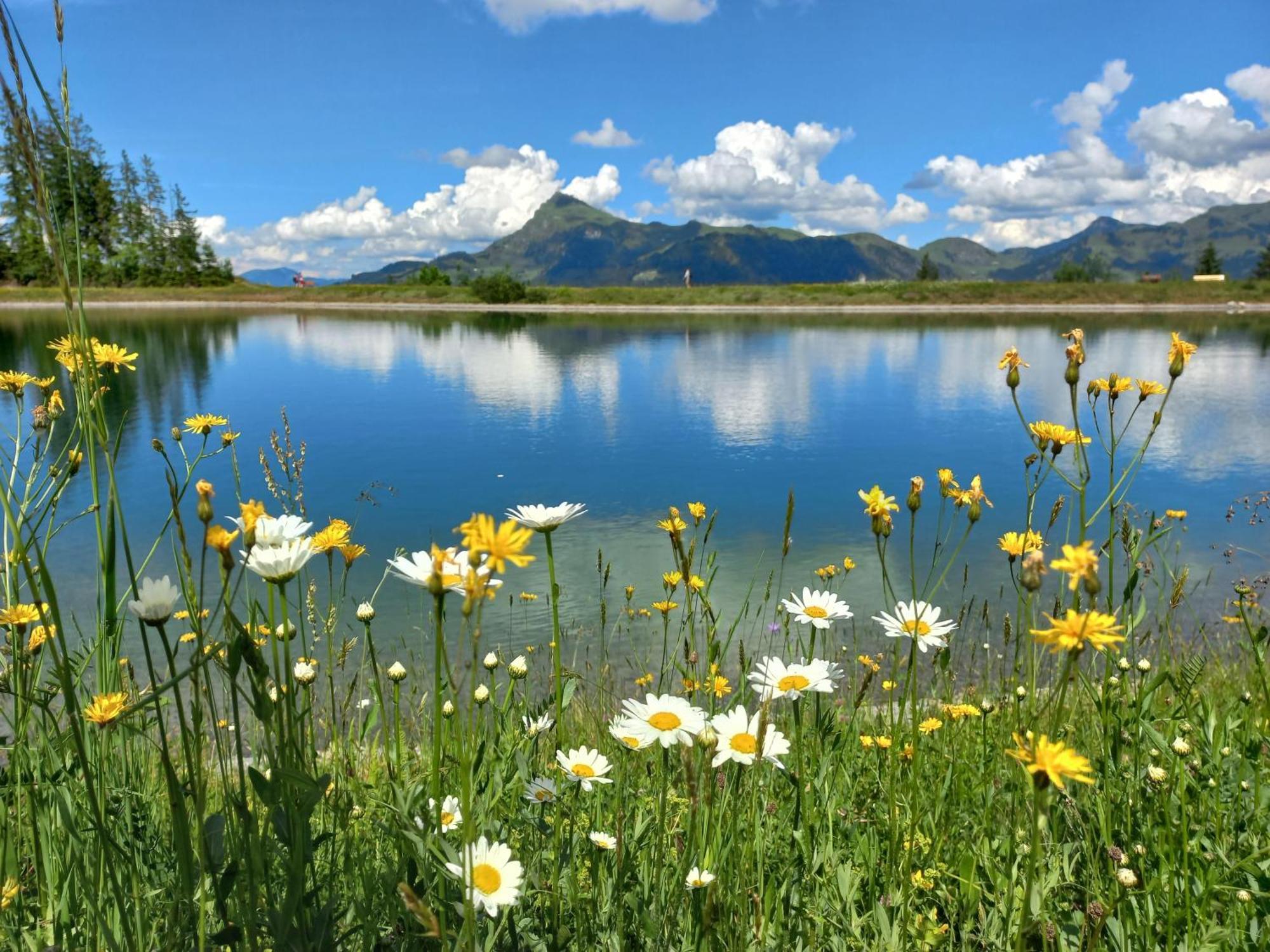 Villa Hahnenkammblick Kitzbühel Exterior foto