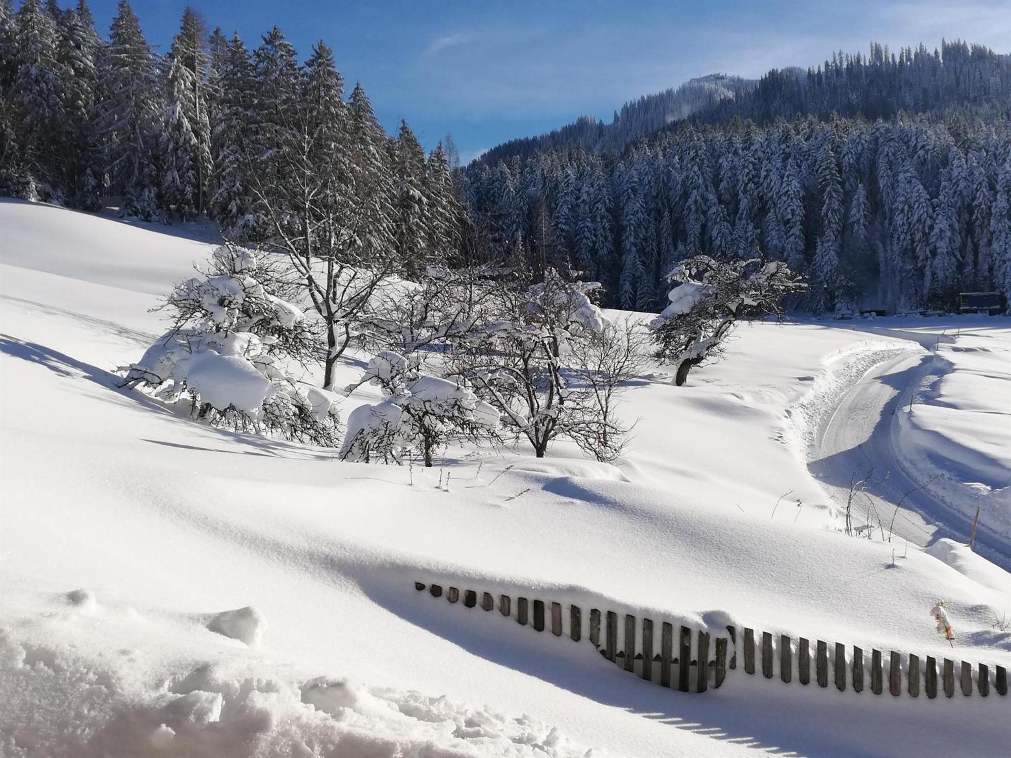 Villa Hahnenkammblick Kitzbühel Exterior foto